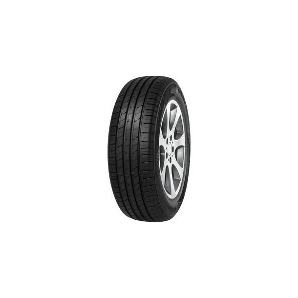 255/55-20 Minerva Ecospeed 2