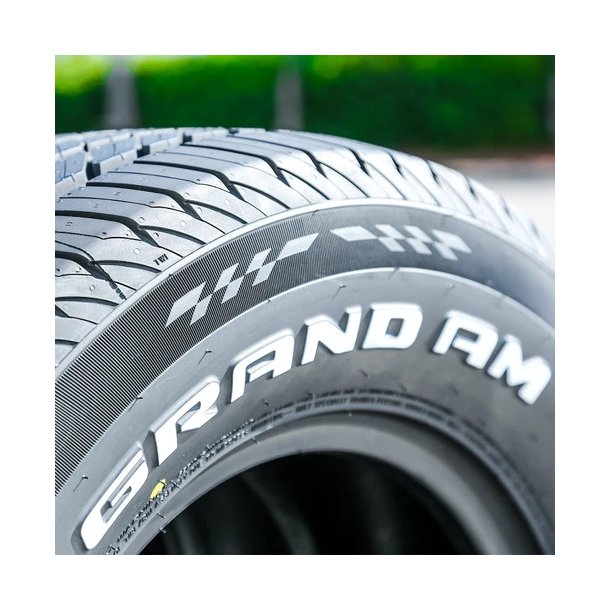215/60-15 H Venom Power Grand AM RWL